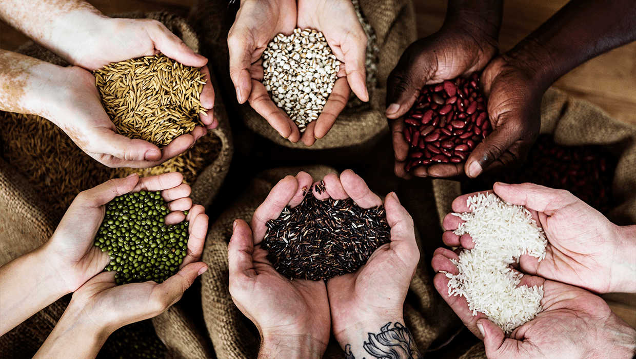 exportação commodities Brasil China